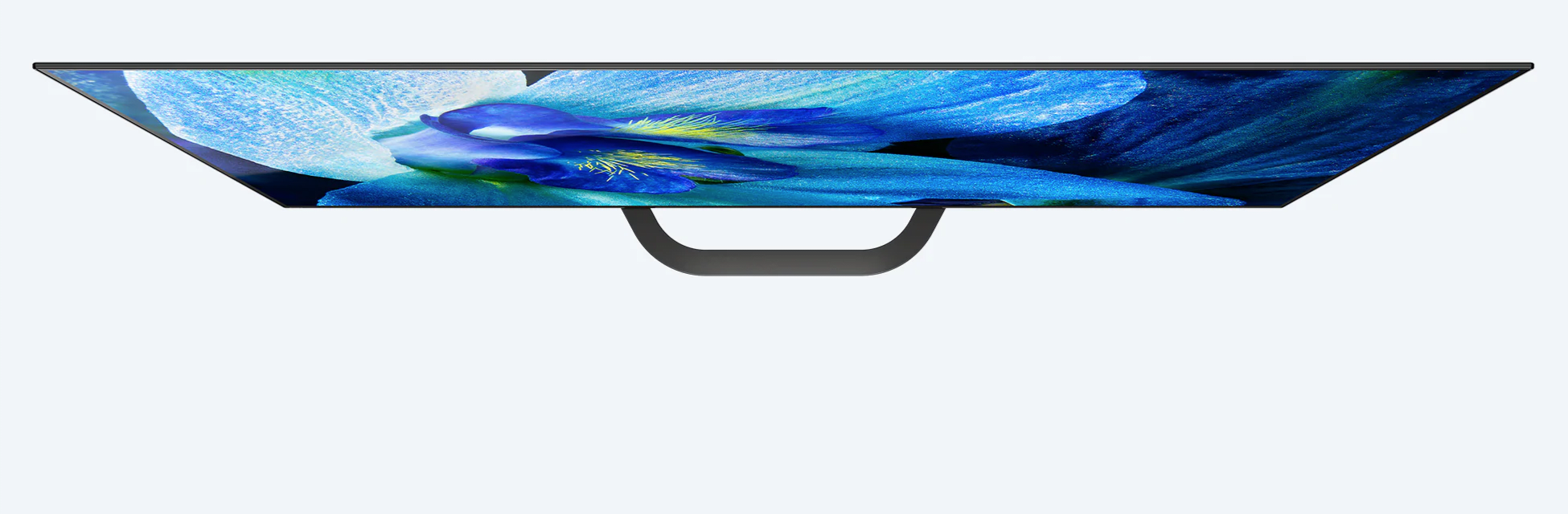 Screen Shot 2019-10-25 at 12.15.20 PM.png