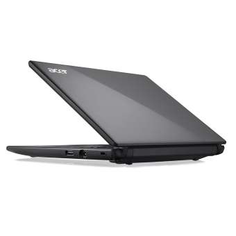 acer.jpg