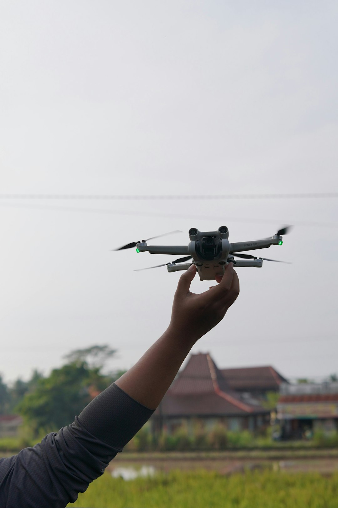 Sebuah tangan melancarkan dron kecil di atas sawah padi di Asia Tenggara