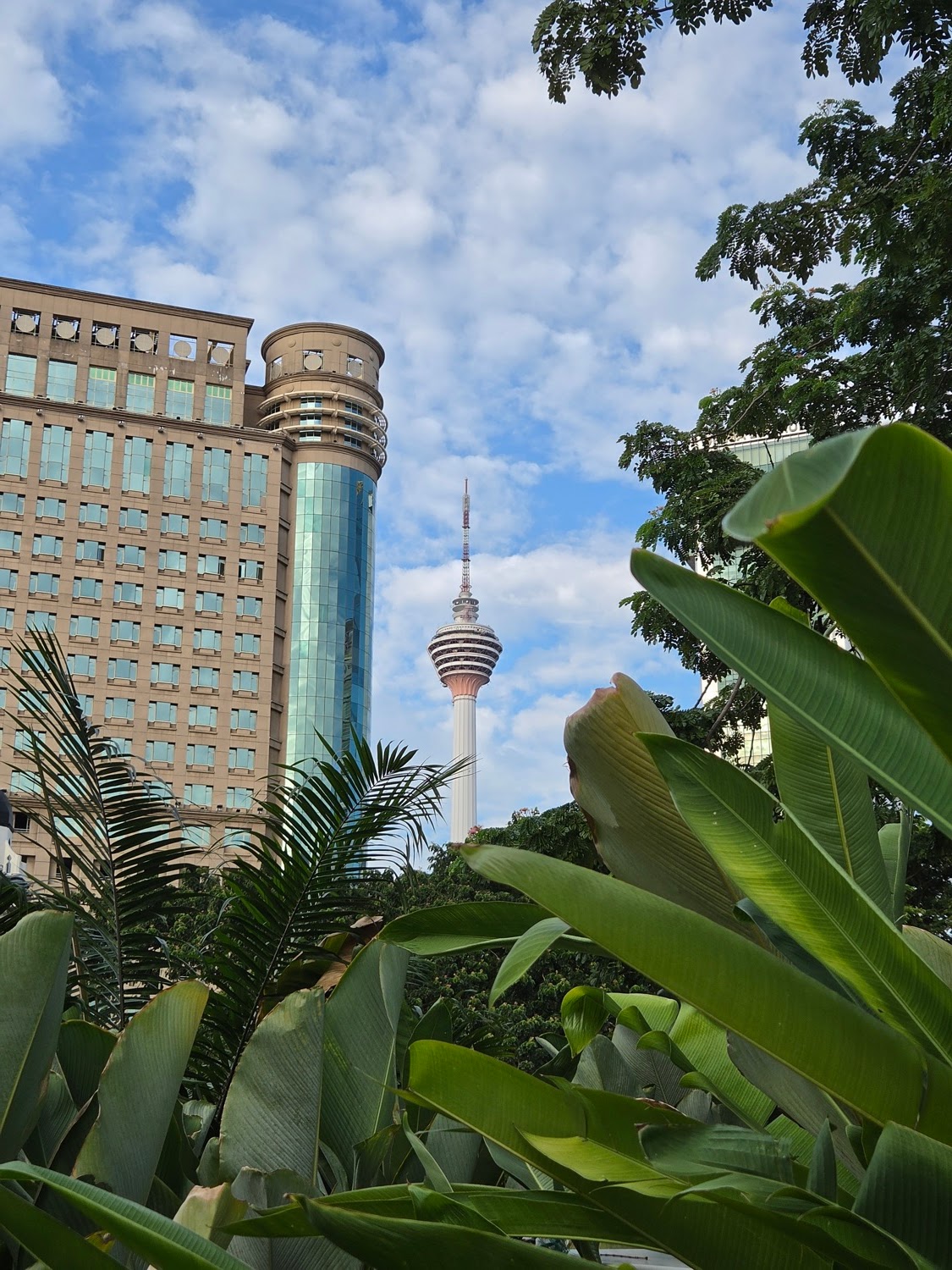 The KL Tower seen through a gap in banana leaves, shot on the Galaxy Z Fold8 The KL Tower seen through a gap in banana leaves, shot on the Galaxy Z Fold8