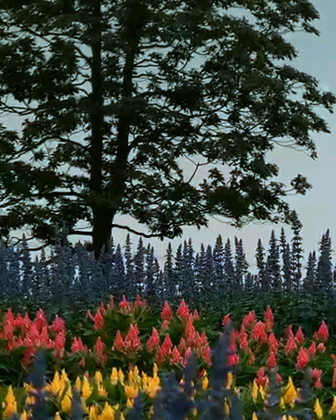 A flower bed at dusk shot on the vivo X500 Pro Max, red and yellow blooms against a darkening tree line A flower bed at dusk shot on the vivo X500 Pro Max, red and yellow blooms against a darkening tree line