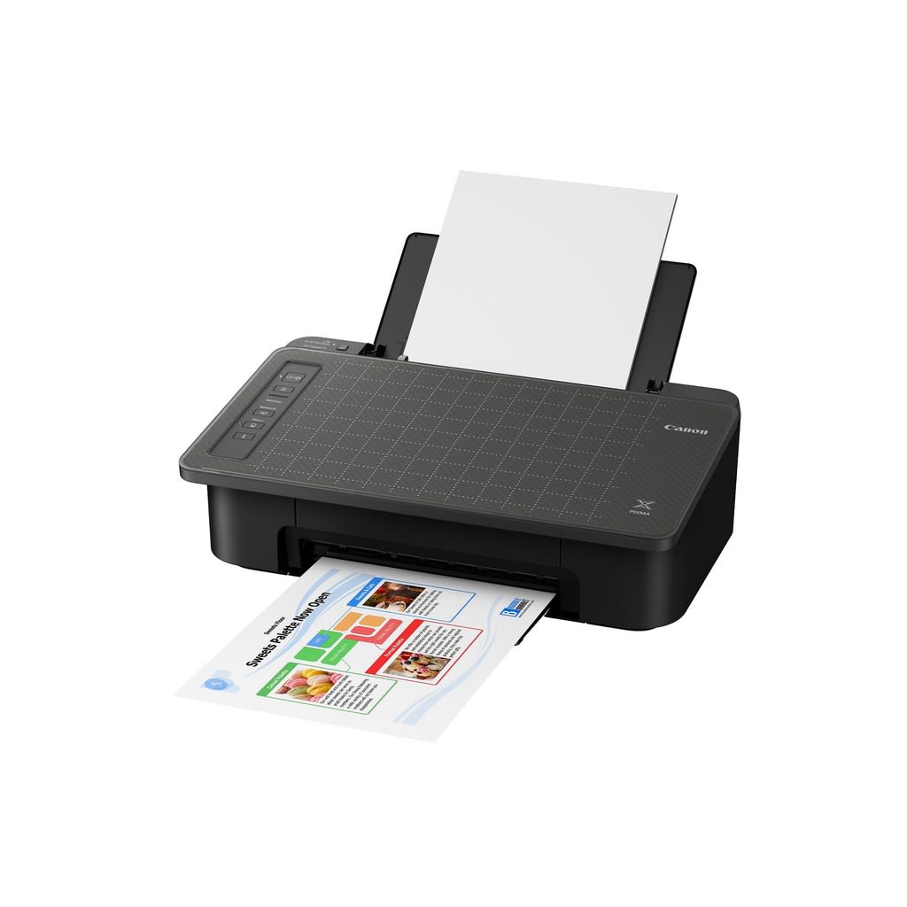 CANON TS307 Single Function Inkjet Color Printer.jpg