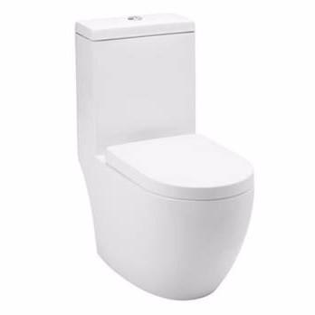 Baron W-888 1-Piece Toilet Bowl.jpeg Baron W-888 1-Piece Toilet Bowl