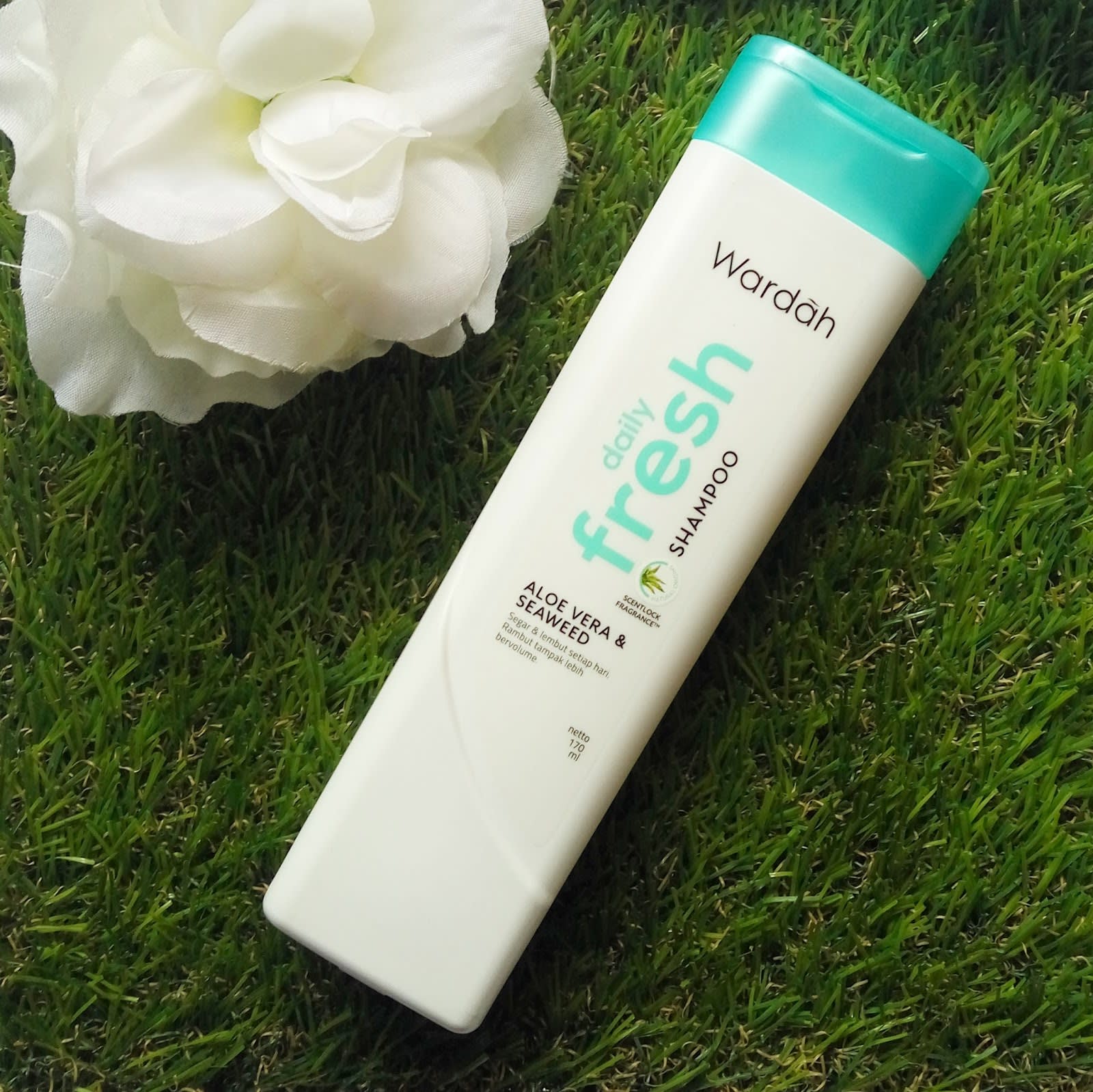 Wardah Daily Fresh Shampoo (170 ml).jpeg