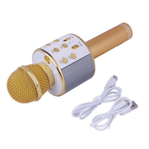 WS858 Mic Karaoke-2.jpg