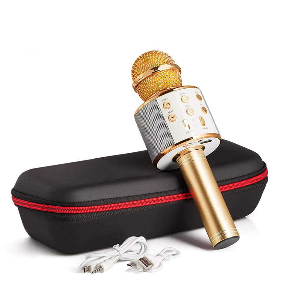 WS858 Mic Karaoke-3.jpg
