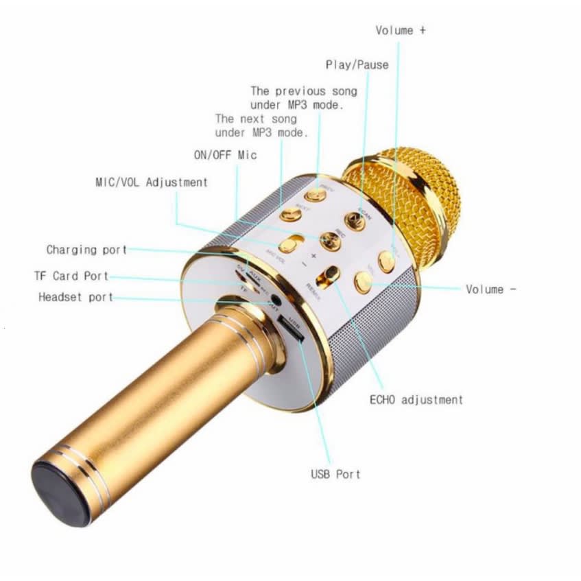 WS858 Mic Karaoke-4.jpg