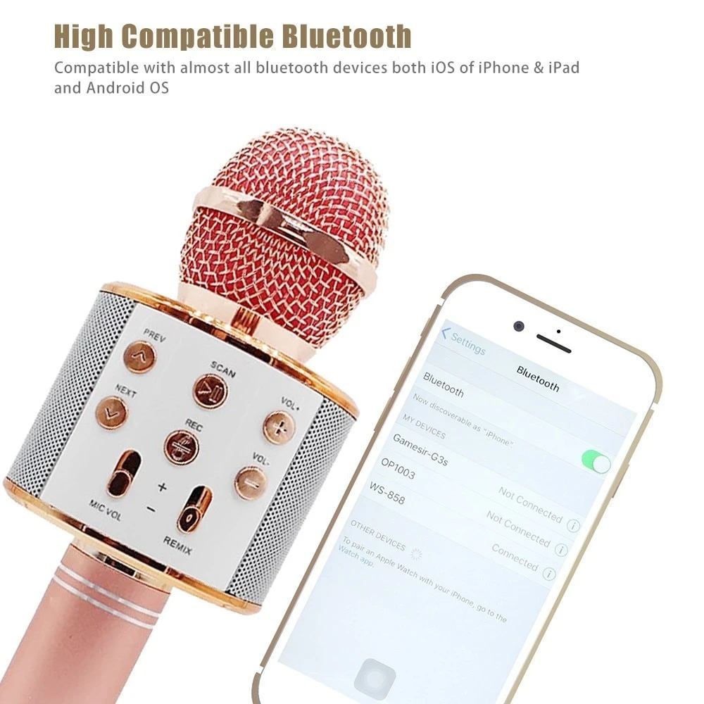 WS858 Mic Karaoke-5.jpg