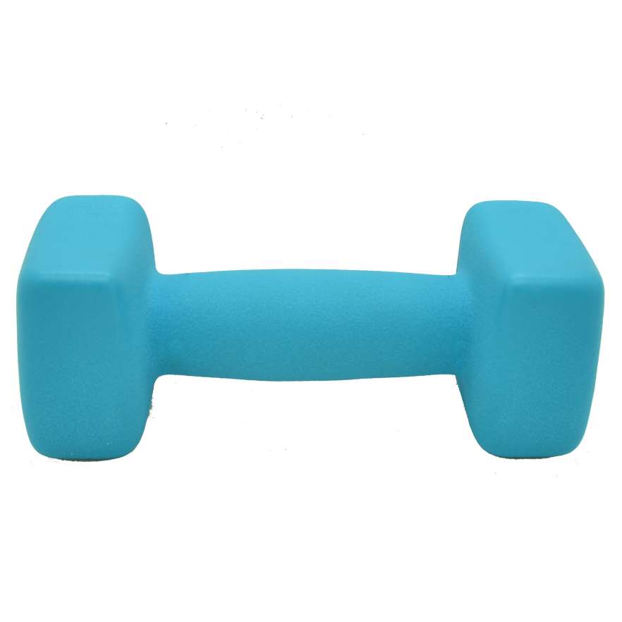 Bfit Dumbell Neoprene (2).jpg