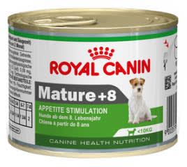 Royal Canin Mini Mature 8+ อาหารสุนัขสูงวัย.jpg Royal Canin Mini Mature 8+ อาหารสุนัขสูงวัย ที่ดีที่สุด
