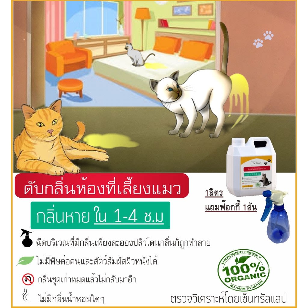 ดับกลิ่นแมวในห้องสนิท.jpg ดับกลิ่นแมวในห้องสนิท ที่ดีที่สุด