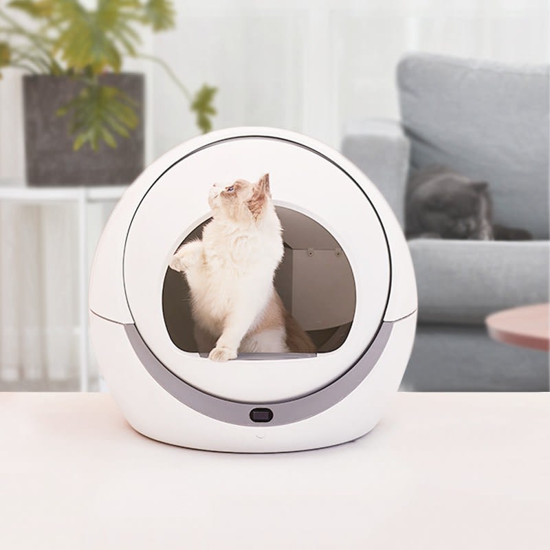 PETREE AUTO CAT LITTER.jpg ห้องน้ำแมวที่ดีที่สุด ห้องน้ำแมวอัตโนมัติ