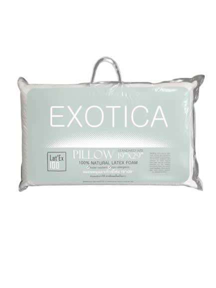 EXOTICA หมอนหนุนยางพารา สีขาว.jpg