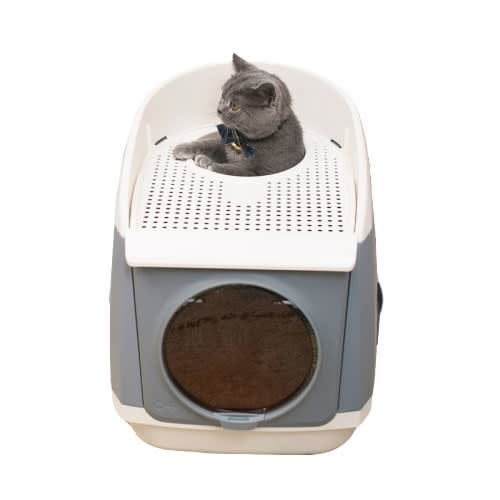 Tom Cat Toilet-4.jpg