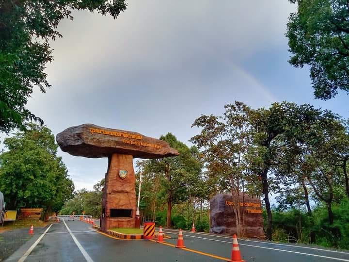 ที่เที่ยวอุบลราชธานี ผาโสก อุทยานแห่งชาติผาแต้ม ที่เที่ยวอุบลราชธานี ผาโสก อุทยานแห่งชาติผาแต้ม