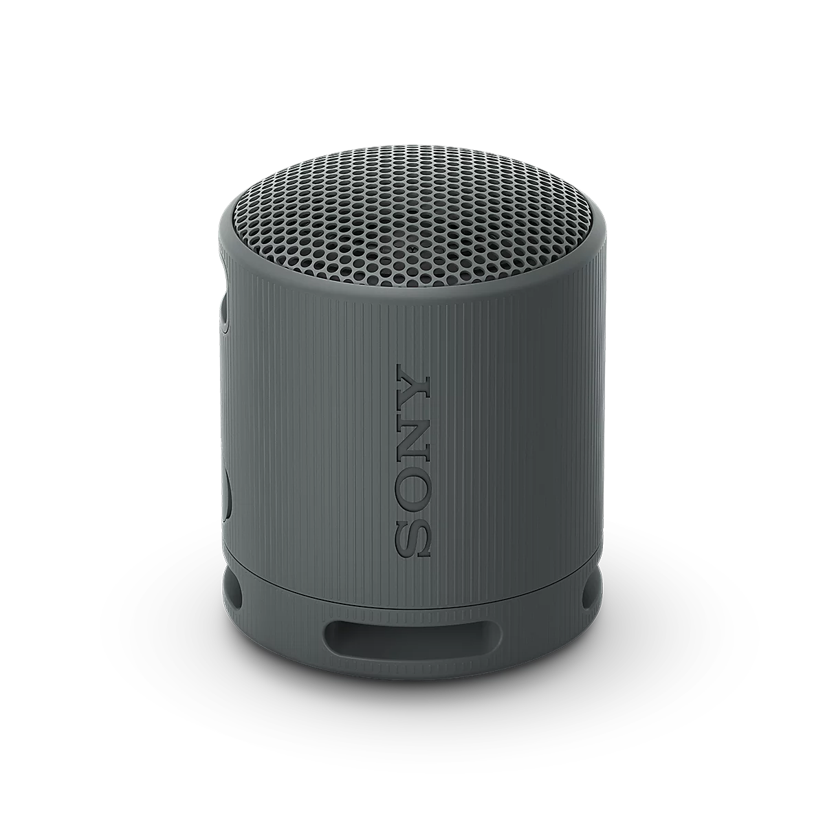 SONY SRS-XB100 SONY SRS-XB100