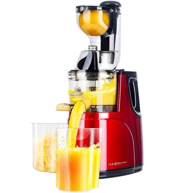 HONGXING RH-312 Slow Juicer.jpg