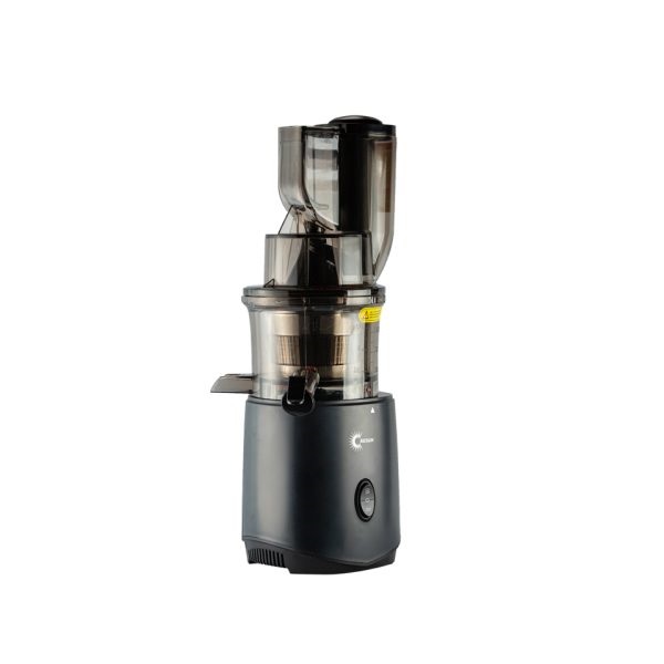 Gesun G500 Slow Juicer.jpg