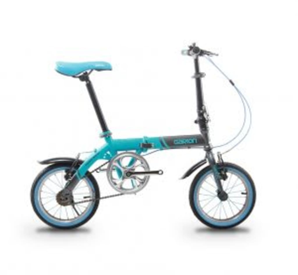 curtis bmx for sale