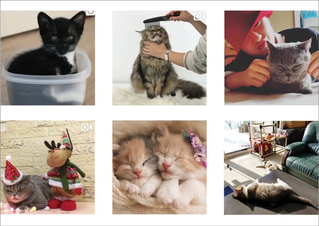 Top Instagram Hashtags in Malaysia 2024 ProductNation