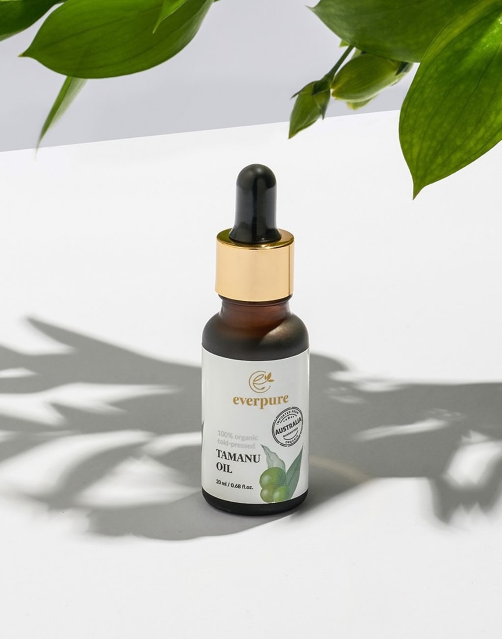 Everpure Tamanu Oil (30 ml) Harga & Review / Ulasan  