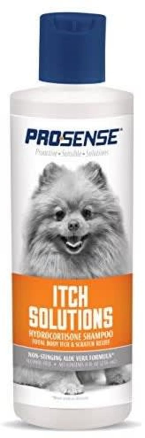 11 best dog shampoos in malaysia 2021 - brands & reviews