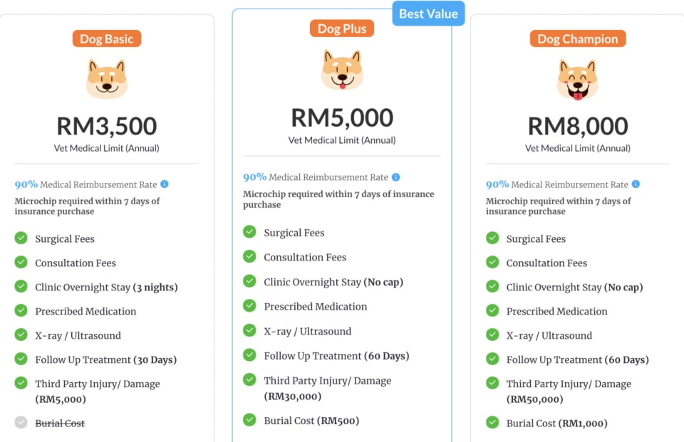 Cost of Living For Pets in Malaysia 2024 Pet Adoption etc.
