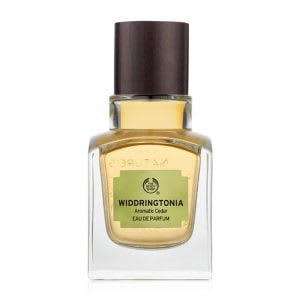 Sensasi unik dalam parfum berukuran mini