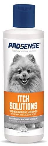 11 Best Dog Shampoos in Malaysia 2020 - Brands &amp; Reviews