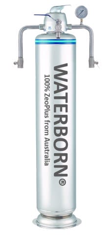 WATERBORN Stainless Steel Master Outdoor Water Filter