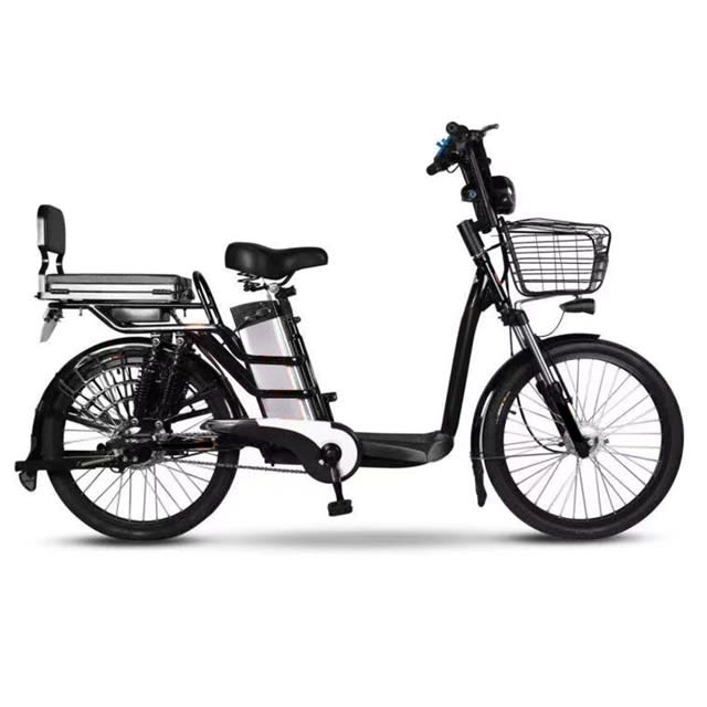 Zebra E-Bicycle Model X