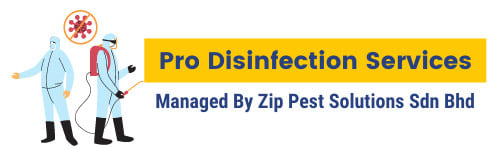 Pro Disinfection Services-1