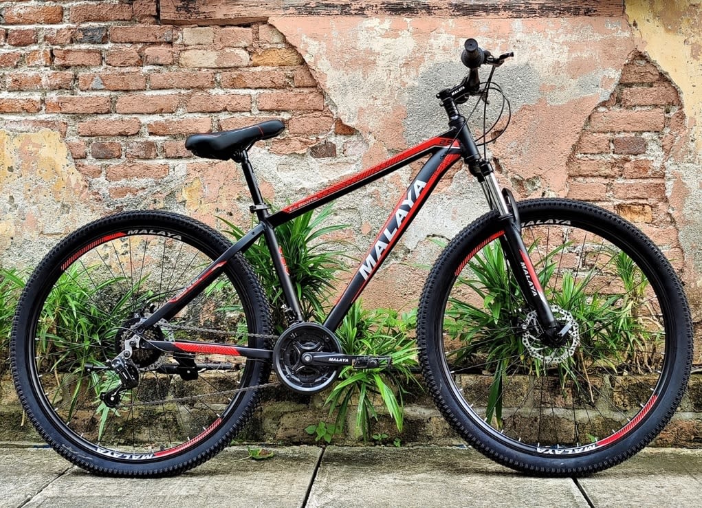 SHIMANO 29-inch 24 Speed Mountain Bike