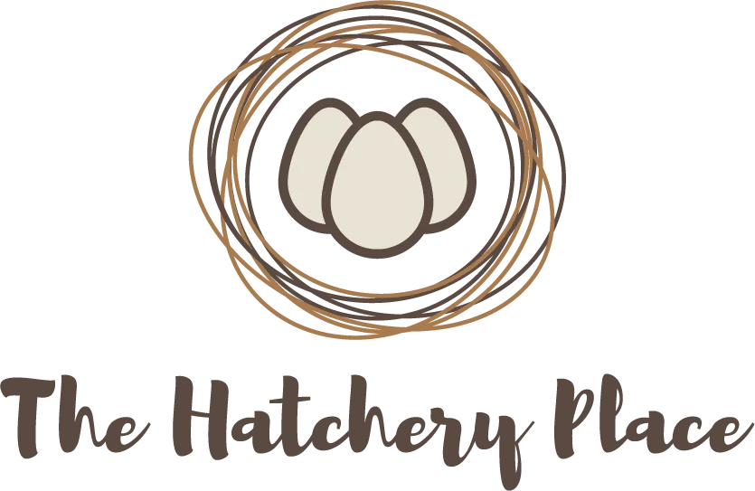 Best Co Living KL & Selangor - The Hatchery Place