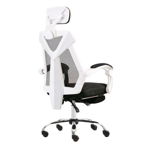 Cassa CX5 Ergonomic Chair