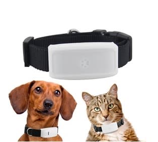 GPS Pet Tracker with Collar