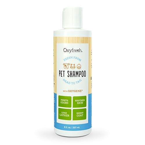 Oxyfresh Pet Shampoo