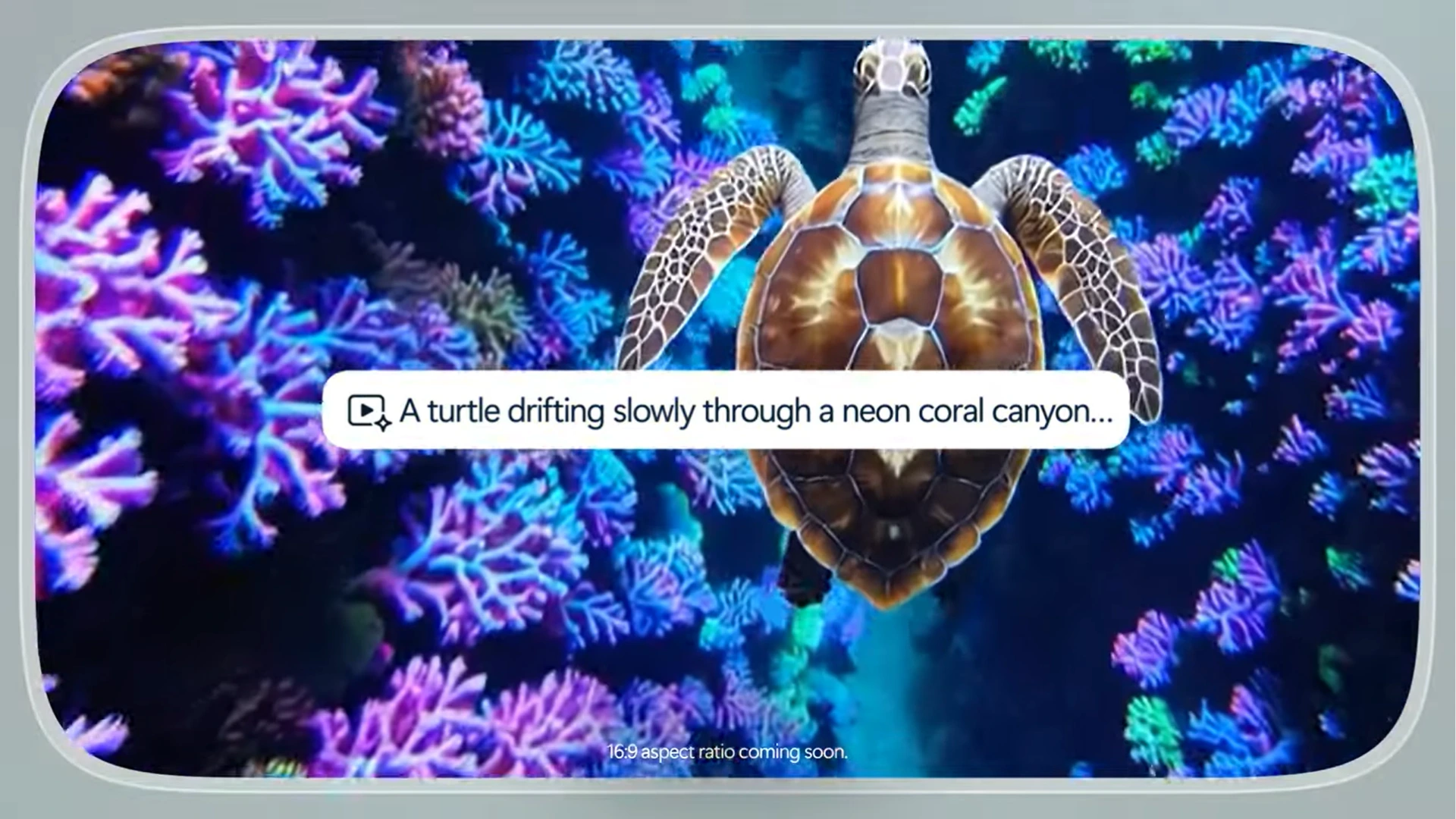 turtle.webp