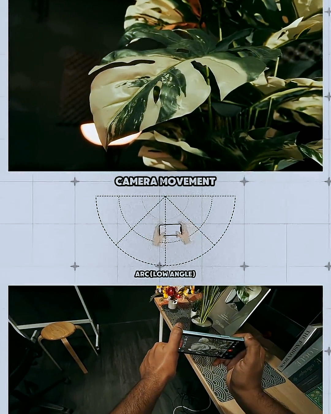 Low angle view of monstera leaves lit from below, demonstrating an Arc Low Angle camera movement