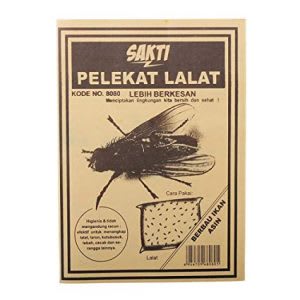 Best fly killer for kitchen