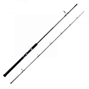 Best fishing rod with reel