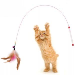 Best string toy for energetic cats and kittens