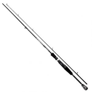 Best fishing rod for saltwater