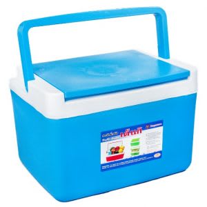 Best cheap mini cooler box