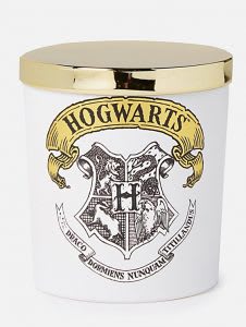 Harry Potter gifts for adults