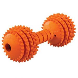 Best dog toys for teething puppies