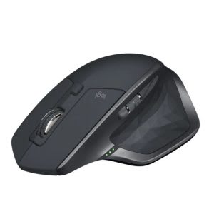 Best ergonomic wireless mouse