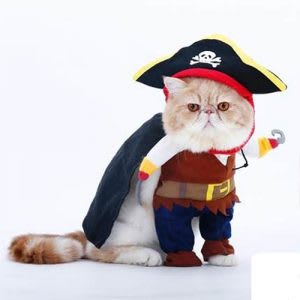 Halloween costume for cats