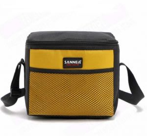 Best camping food cooler bag