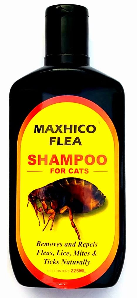 9 Syampu/Shampoo Kutu untuk Kucing di Malaysia 2021 - ProductNation